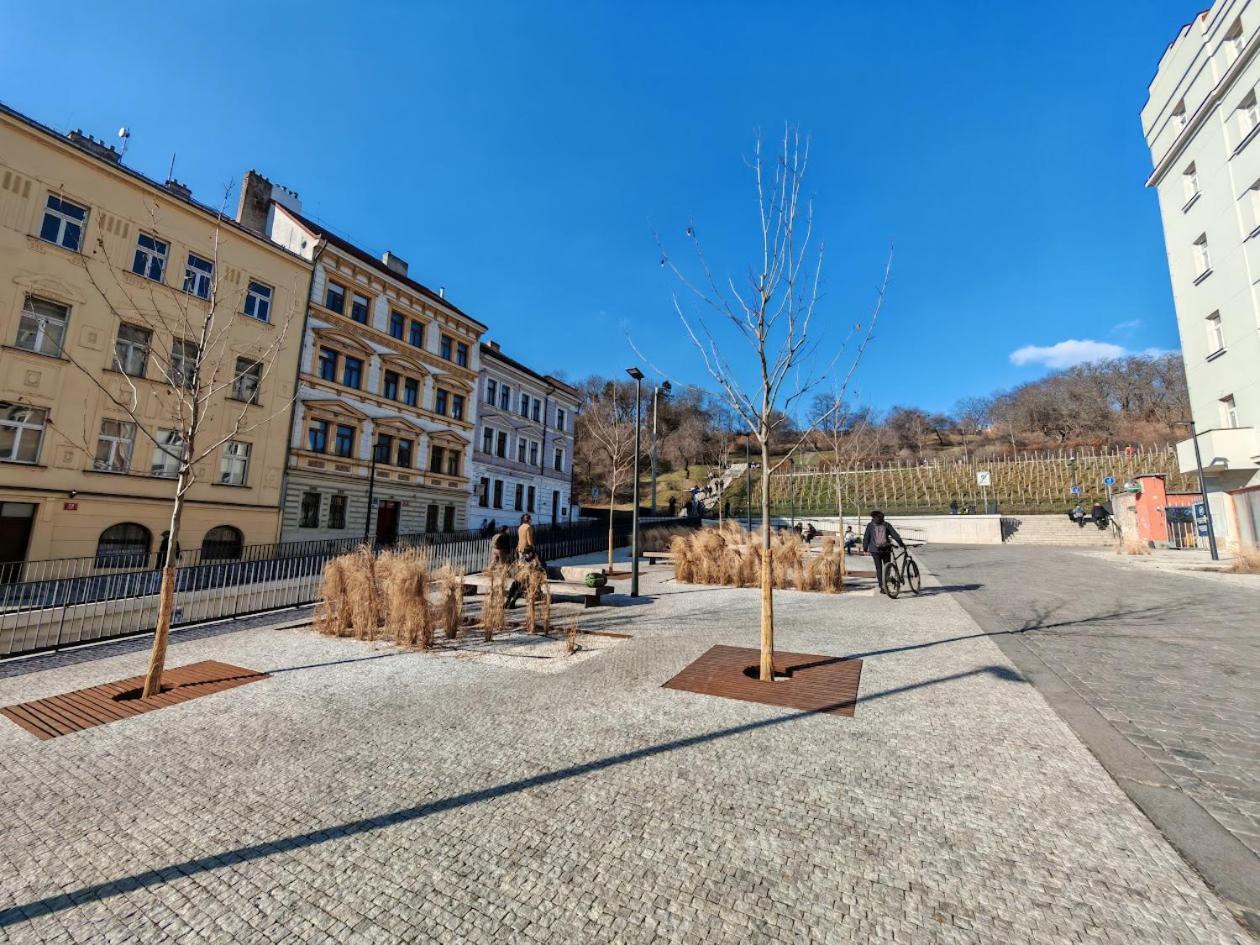 Flat In Zizkov -102- Praha